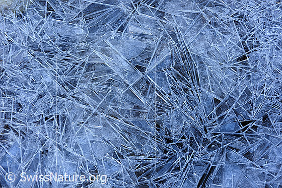 Foto: Mosaikförmige Strukturen aus Eis.