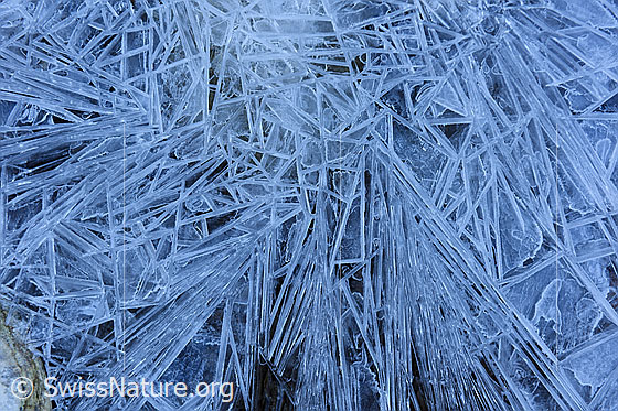 Foto: Längliche Formen in Eisoberfläche.