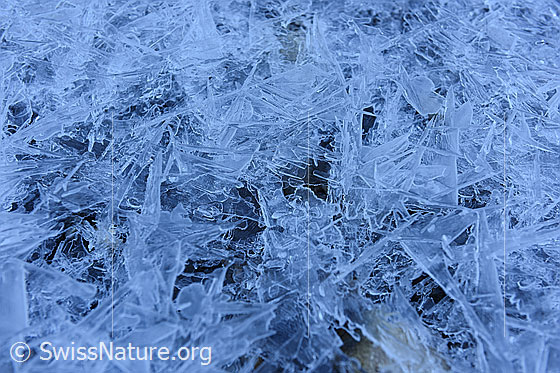 Foto: Nahaufnahme einer strukturierten Eisoberfläche.
