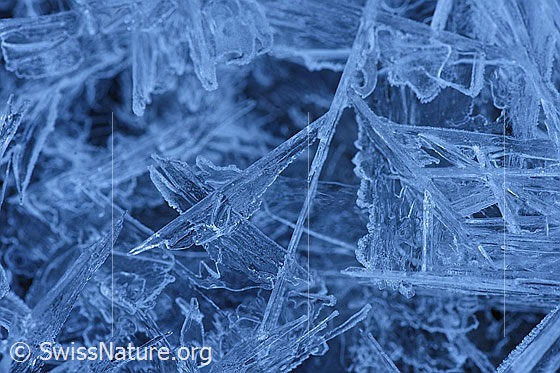 Foto: Makroaufnahme Eisplättchen und Eisnadeln.
In einem Bachbett hat sich bei tiefen Temperaturen ein Teppich aus Eisplättchen und Eisnadeln gebildet. Wer sich die Mühe nimmt und diese unscheinbaren Gebilde aus der Nähe betrachtet, wird mit dem Blick in eine andere Welt belohnt. Und das praktisch vor der Haustür.