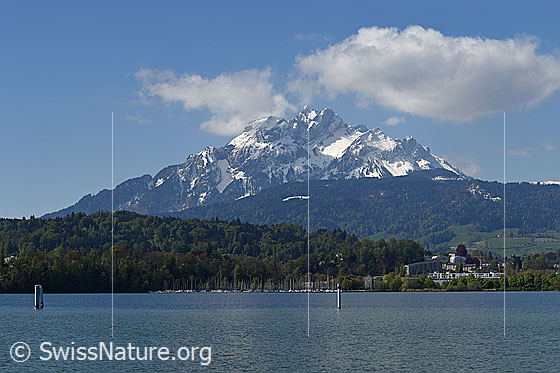 Foto: Pilatus und Luzernersee.