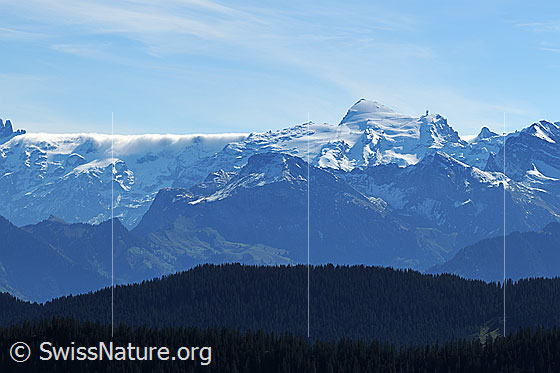 Foto: Titlis vom Schimbrig. Links vom Titlis ist eine Föhnwalze zu sehen.