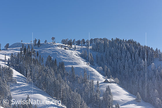 Foto: Stall in Winterlandschaft.