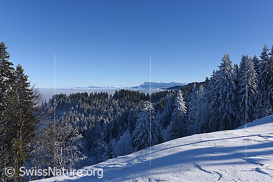Foto: Winterlandschaft mit Pilatus und Nebelmeer über der Zentralschweiz.