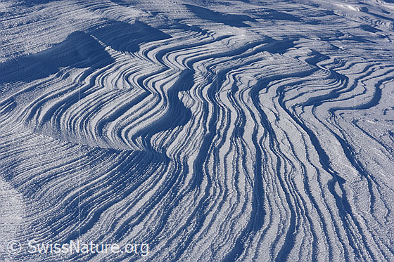 Foto: Vom Wind geformte Schneeoberfläche.