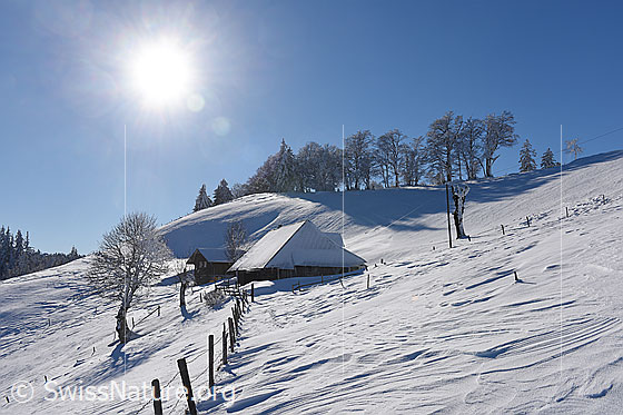 Foto: Winterlandschaft mit Alphütte im Gegenlicht.