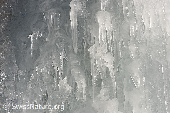 Foto: Vom Sonnenlicht modellierte Eisgebilde.