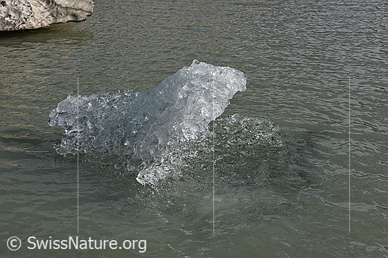 Foto: Schwimmende Eisskulptur im Gletschersee vor dem Rhonegletscher.