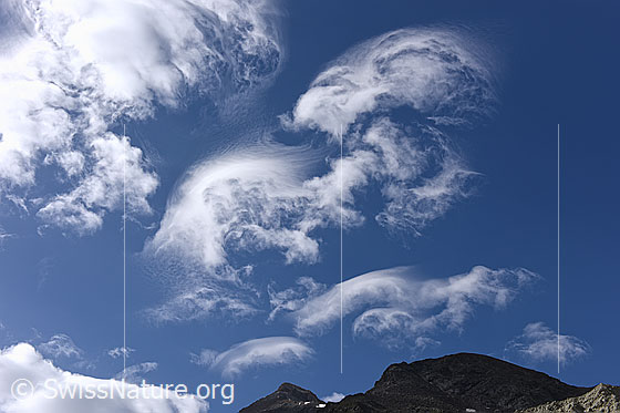 Foto: Wolkenhimmel mit speziell geformten Wolkenfetzen am blauen Himmel. Es war spannend zu beobachten, wie rasch sich diese leichten Wolken in laufend neue und die Fantasie anregende Bilder umformten.
