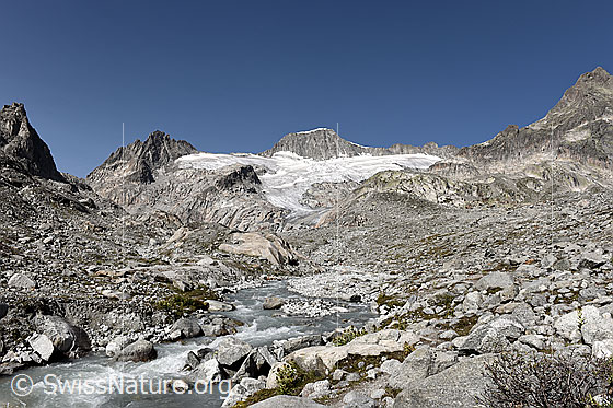 Foto: Berglandschaft mit Gletscherbach des Tiefengletschers und Gross Bielenhorn und Galenstock im Hintergrund.