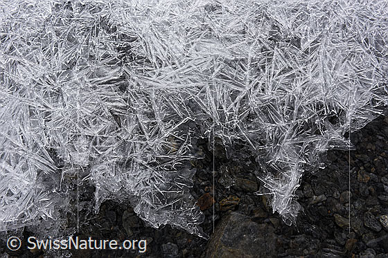 Foto: Grosse Eisstrahlen über fliessendem Wasser.