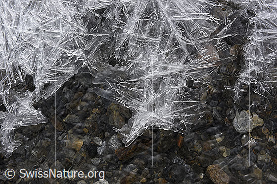 Foto: Grosse Eissterne über fliessendem Wasser.
