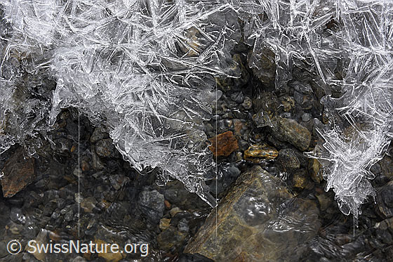 Foto: Eisgebild über fliessendem Wasser.