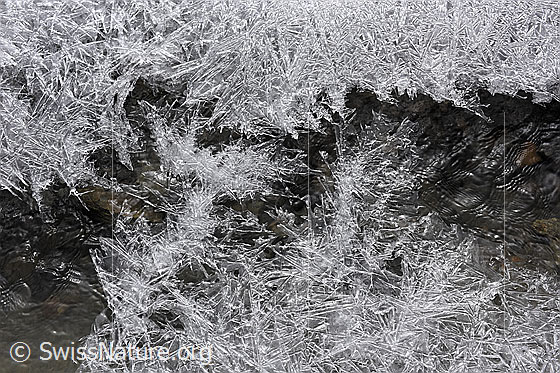 Foto: Eiskristalle überspannen fliessendes Wasser.
