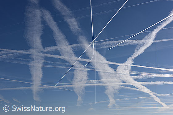Foto: Kondensationsstreifen haben moderne Kunst an den Himmel gezaubert.