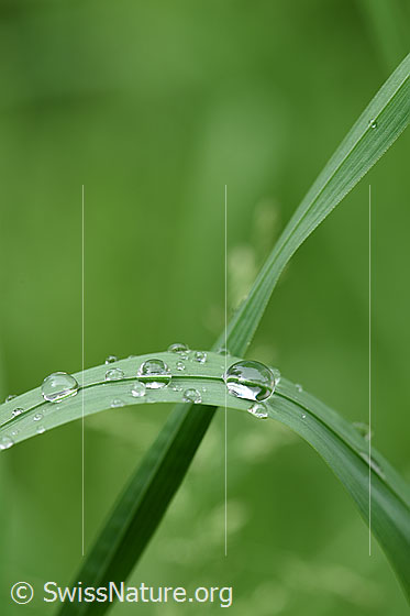 Photo: 