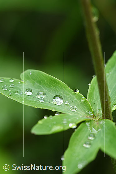 Photo: 