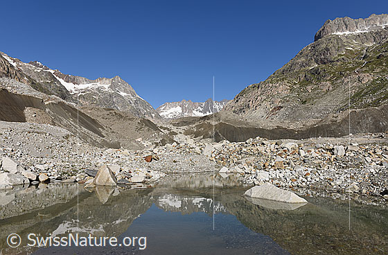Foto: Unteraargletscher und Escherhorn