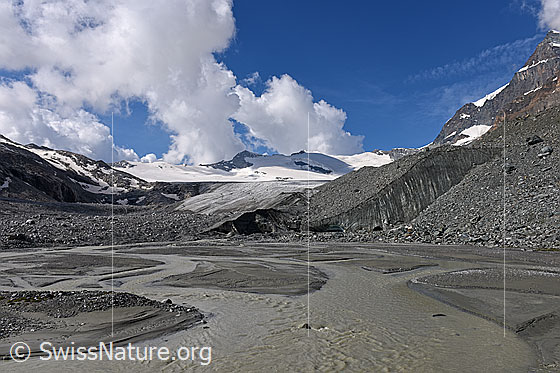 Foto: Schwemmebene vor dem Schwarzberggletscher.
