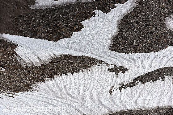 Foto: Die Schneeschmelze hat ein kunstvoll geformtes Schneefeld erzeugt. Die Oberfläche des Schnees weist eine interessante Struktur auf.