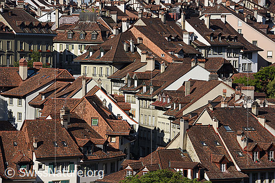 Foto: Blick auf die Altstadt von Bern.