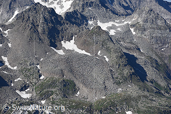 Foto: Blockgletscher auf der Nordseite des Bochtehorns, 2769m ü.M.
