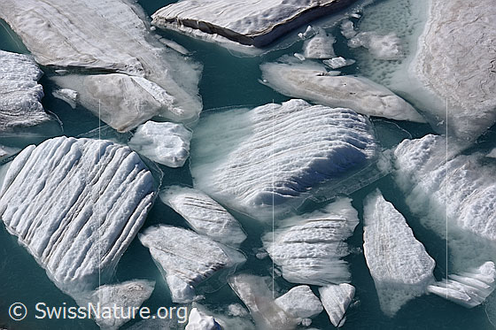 Foto: Eisschollen in proglazialem See.