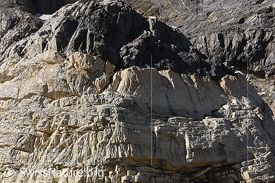 Foto: Helle Dolomitschicht (Rötidolomit).