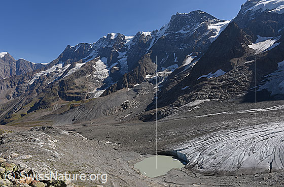 Foto: Der Breithorngletscher mit seinem randglazialen See und ein paar der div. Nordwände im hinteren Lauterbrunnental. Der rechte (= südliche) Teil des Gletschers verfügt über eine Obermoräne.

