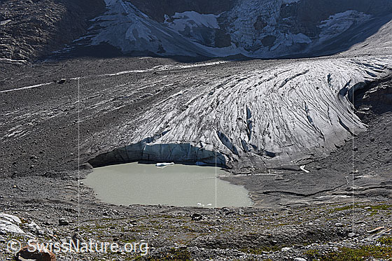 Foto: Randglazier See am Breithorngletscher. Ansicht von schräg oben. (Stand 9.2018)
Der linke (= südliche) Teil des Gletschers ist von einer Obermoräne bedeckt.

