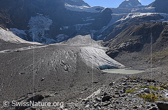 Foto: Randglazialer See am Breithorngletscher (Stand 9.2018).
Der linke (= südliche) Teil des Gletschers verfügt über eine Obermoräne.

