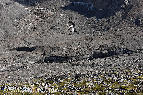 Foto: Zungenbereich des Breithorngletschers. Die Gletscherzunge weist deutliche Zerfallserscheinungen auf. Ebenso die Zunge des Grosshorngletschers, welche im Hintergrund zu sehen ist.

