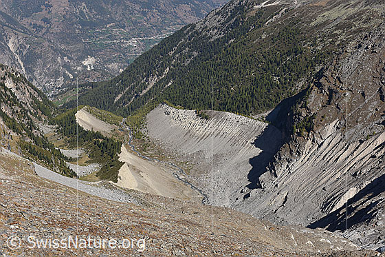 Foto: Blick talauswärts über die eindrücklichen Seitenmoränen und das ehemalige Gletscherbett des Riedgletschers.

