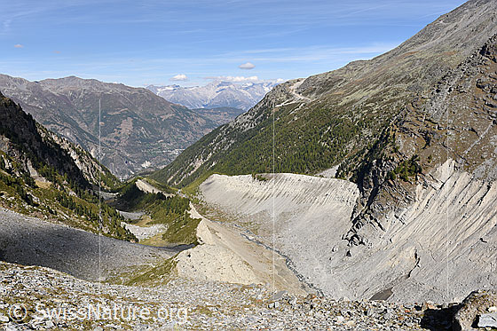 Foto: Blick talauswärts über die eindrücklichen Seitenmoränen und das ehemalige Gletscherbett des Riedgletschers.
