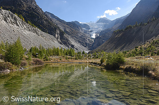 Foto: Kleiner See im Vorfeld des Riedgletschers. 
Bis ca. 1970 reichte der im Hintergrund sichtbare Riedgletscher bis zu diesem See. 
Links und rechts sind die Seitenmoränen zu sehen, welche ca. den Höchststand des Riedgletschers um 1870 anzeigen.
