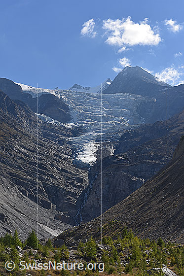 Foto: Zunge des Riedgletschers (Stand 9.2018).