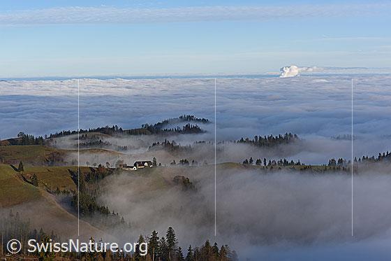 Foto: Feiner Ausläufer eines Nebelmeers über dem Schweizer Mitteland.
