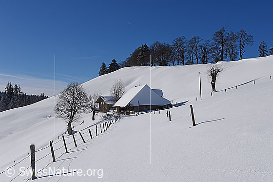 Foto: Alphütte in leicht verschneiter Landschaft.