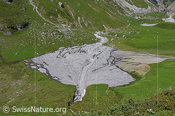 Foto: Geschiebefächer (Schwemmfächer).
