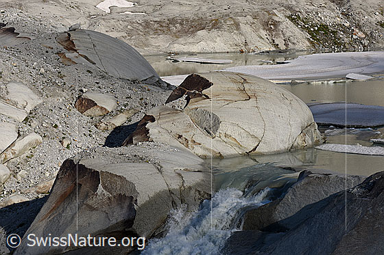 Foto: Rundhöcker vor dem Rhonegletscher (Aaregranit).
