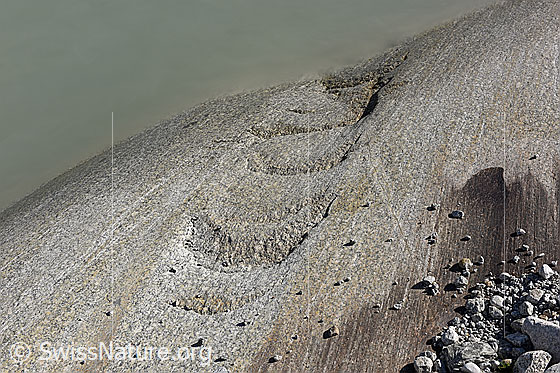 Foto: Sichelbrüche auf Gletscherschliff (Aaregranit).
