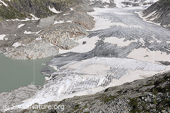 Foto: Rhonegletscher: Proglazialer See, Gletscherzunge und Abdeckungen. Stand 5.7.2019. Die Gletscherzunge ist grossflächig ausgeapert.

