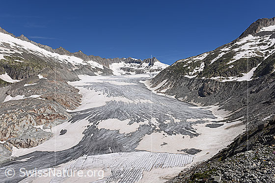 Foto: Rhonegletscher am 5.7.2019. Der Gletscher ist grossflächig ausgeapert. Am unteren Bildrand sind die Abeckungen zu sehen, welche das Abschmelzen des Gletschers verlangsamen.
