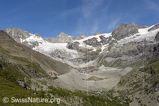 Foto: Hohlichtgletscher.