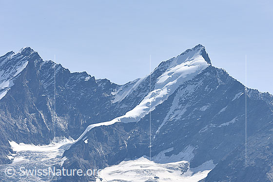 Foto: Dom, Täschhorn und oberer Teil des Kingletschers. 
Über die steile Rampe des Kingletschers führt die Normalroute von der Kinhütte. Zwischen Dom und Täschhorn befindet sich das Domjoch.

