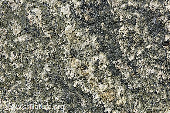 Foto: Struktur auf Felsplatte aus Aaregranit. Einer Fläche aus Aaregranit verleihen Chlorit und Boitit eine interessante Struktur.