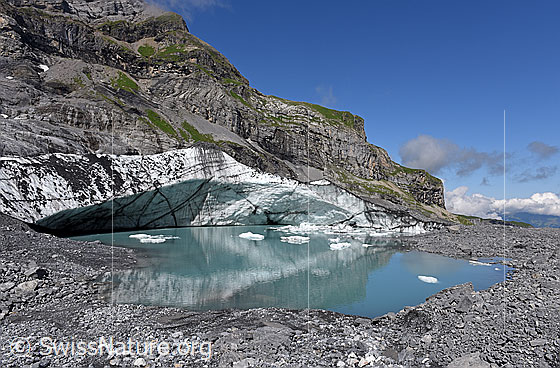 Foto: Gletschersee (Randglazialer See) und Eiswand am Gamchigletscher. Der Gletschersee entleerte sich im September 2019.

