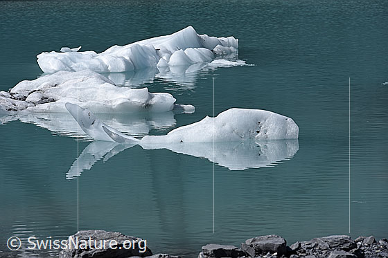 Foto: Fischförmige Eisscholle, welche in Gletschersee schwimmt.
