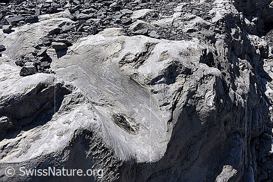 Foto: Ehemaliger subglazialer Schmelzwasserkanal.
Da sich wahrscheinlich der ganze Kanal im Gletscherbett (= unter dem Gletscher) befand, wird von einem Nye-Kanal gesprochen.
