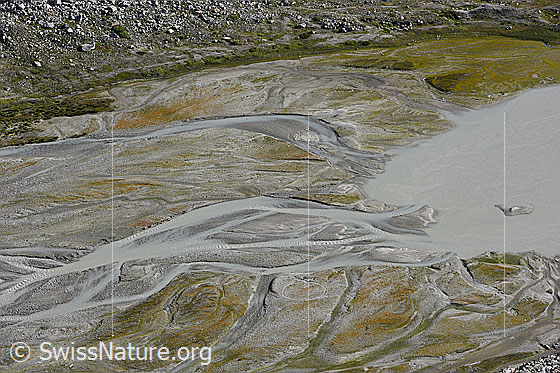 Foto: Mäander in Schwemmebene.